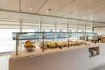 Viking Mars Gallery Image